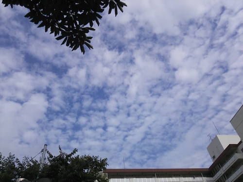 e0179321_20103226.jpg