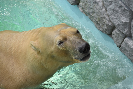 f0344626_10450754.jpg