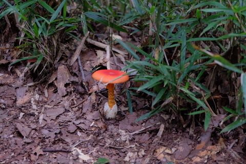 b0281732_16154231.jpg