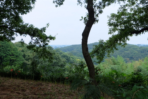 b0281732_16155978.jpg