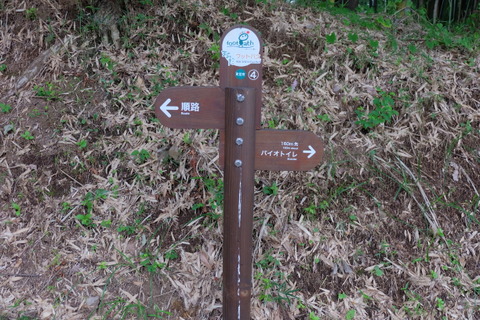 b0281732_16163070.jpg