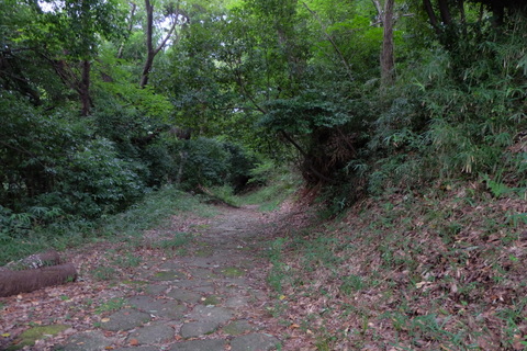 b0281732_16183276.jpg