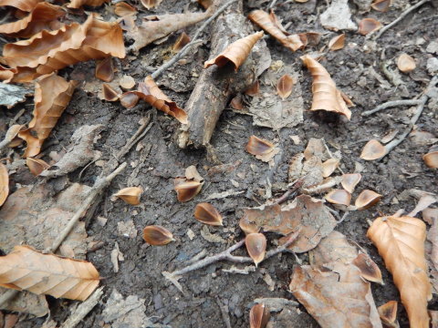 f0118332_00102957.jpg