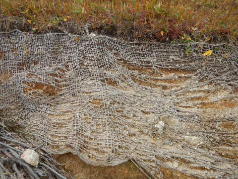 f0118332_00123016.jpg