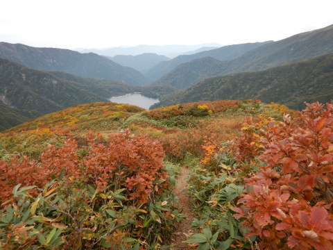 f0118332_00133127.jpg