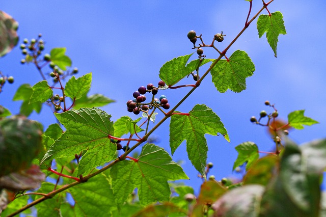a0242438_19213358.jpg