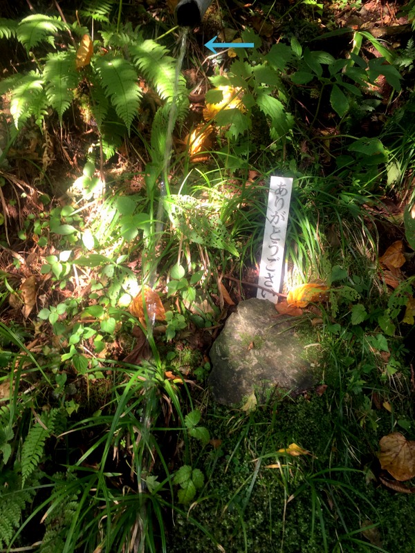 b0057140_20231577.jpg