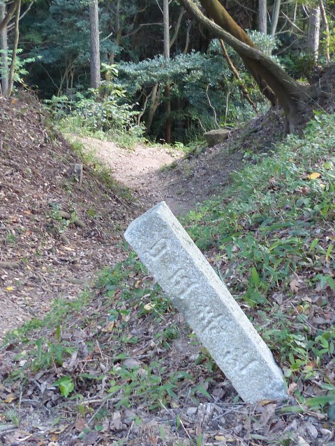 e0027240_16294383.jpg