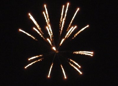 a0142343_12185527.jpg