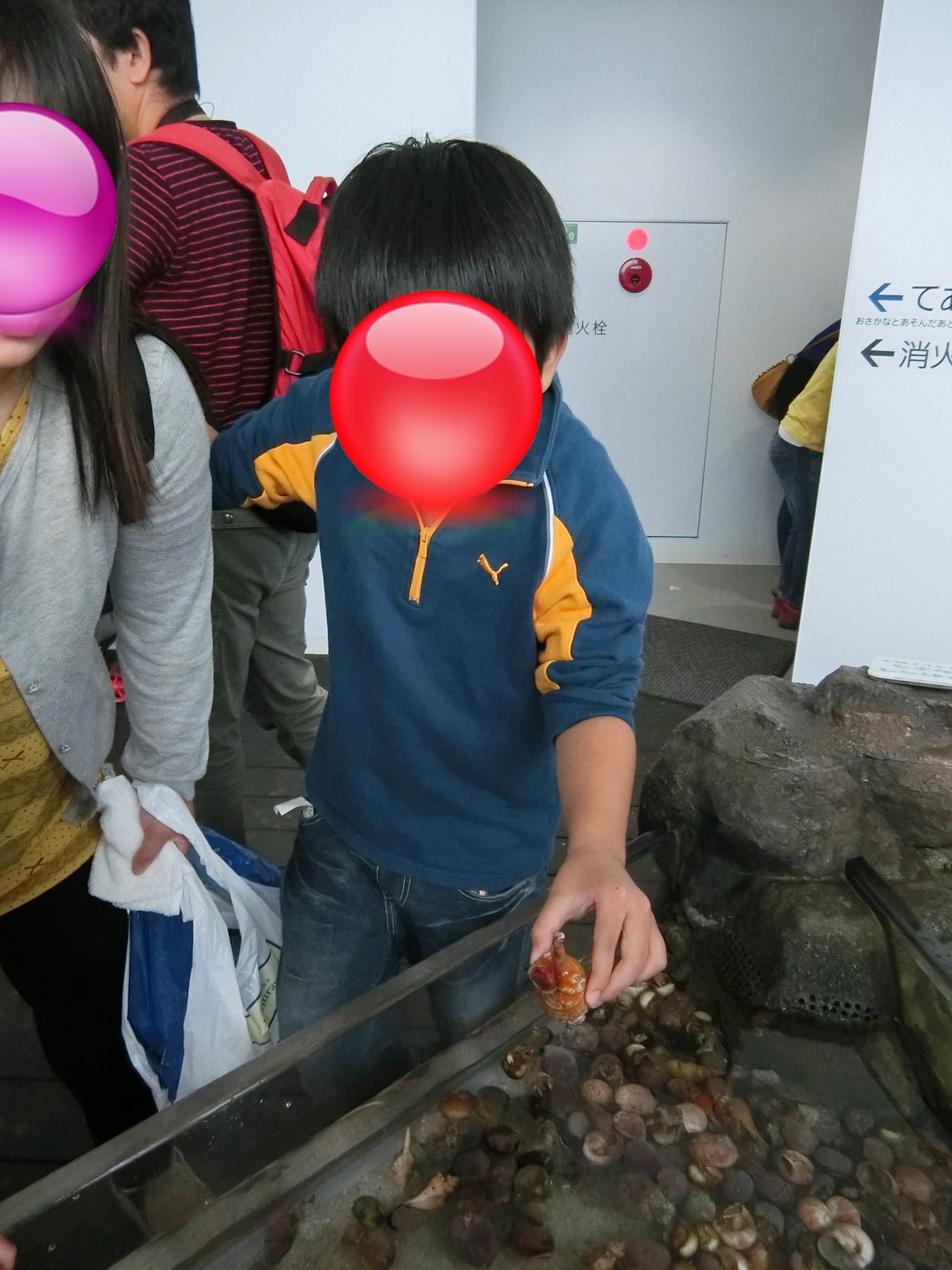 c0342050_18505821.jpg