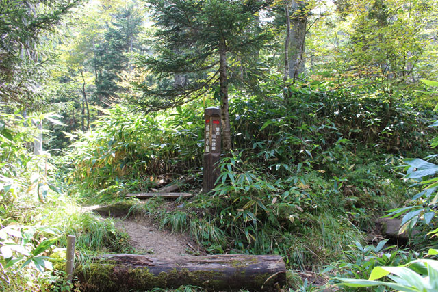 c0116856_7565419.jpg