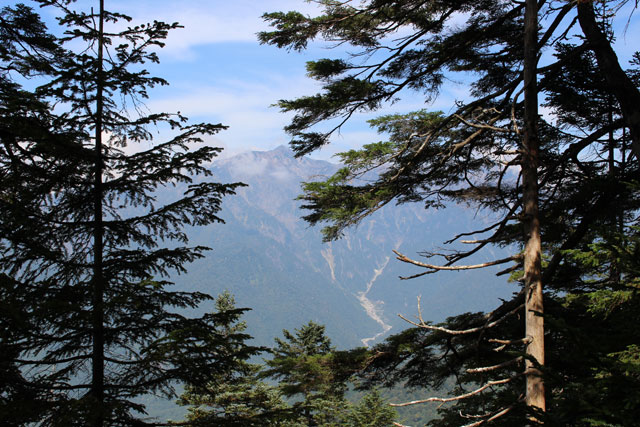 c0116856_756857.jpg