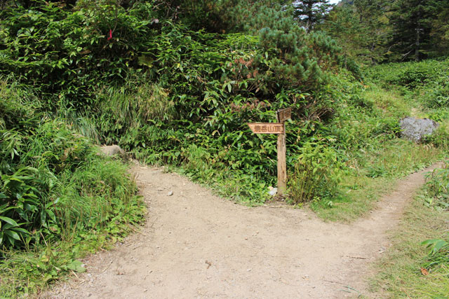 c0116856_7583641.jpg
