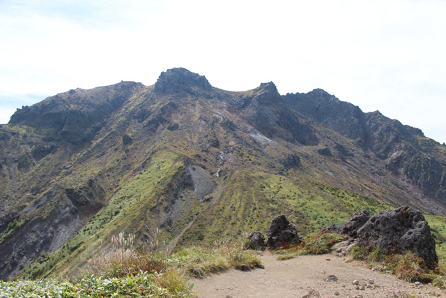 c0116856_803418.jpg