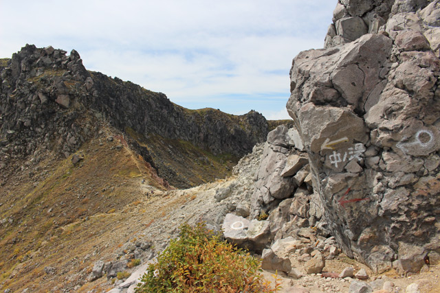 c0116856_815643.jpg