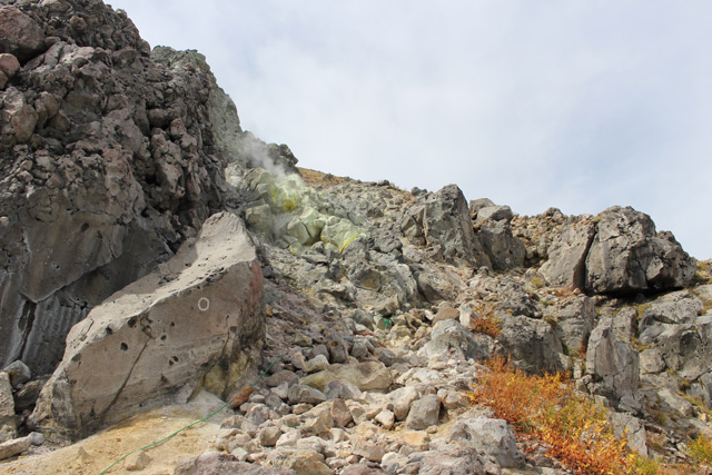 c0116856_822181.jpg