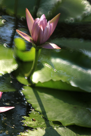 c0362972_21555700.jpg