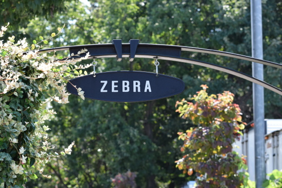b0242873_00104616.jpg