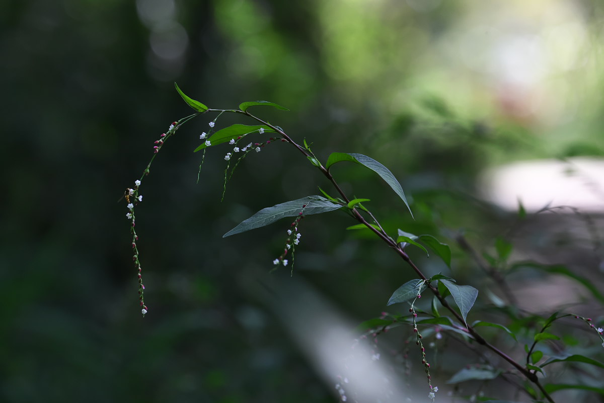 a0083081_1544690.jpg
