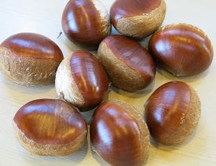 e0130185_11325282.jpg