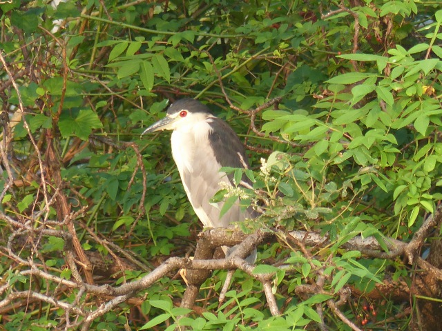 f0357487_22191630.jpg
