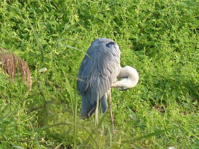 f0357487_22193310.jpg