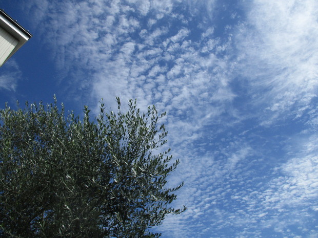 d0333091_19502691.jpg