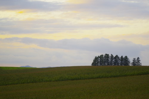 c0352894_19202849.jpg