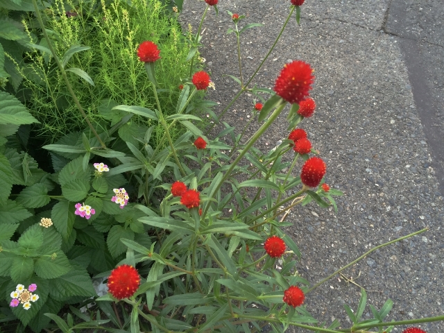 c0247096_226190.jpg
