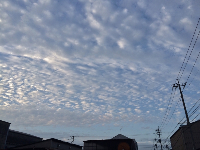 c0247096_2264034.jpg