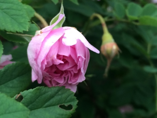 f0201297_14022645.jpg