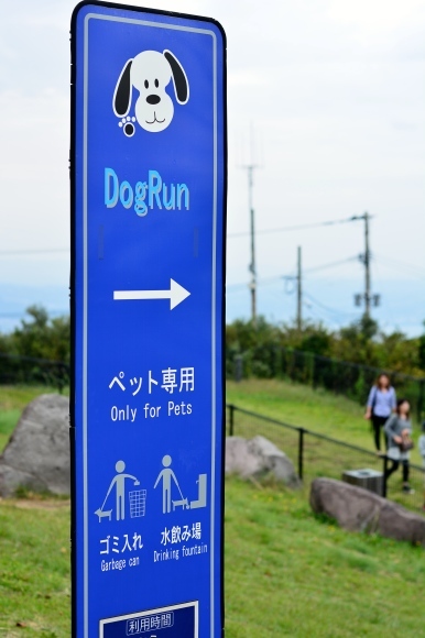 b0188998_22541817.jpg