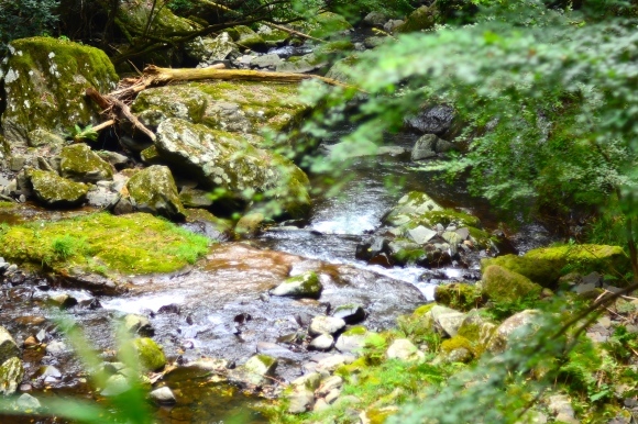 b0188998_22543776.jpg