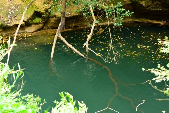 b0188998_22555231.jpg