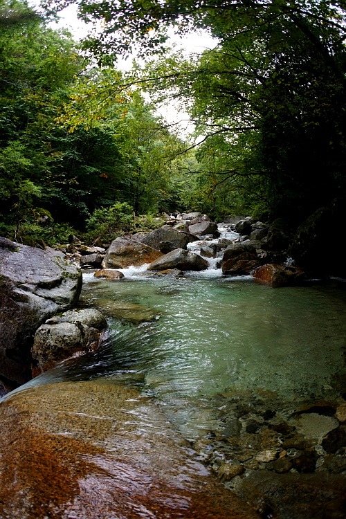 c0339900_20105143.jpg