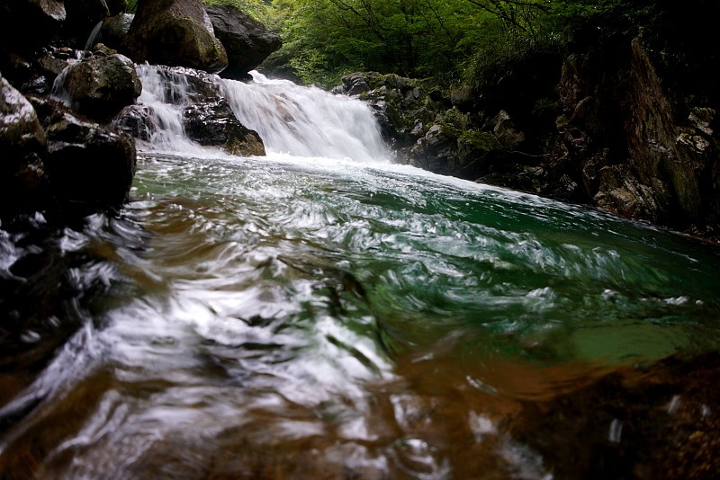 c0339900_20114656.jpg