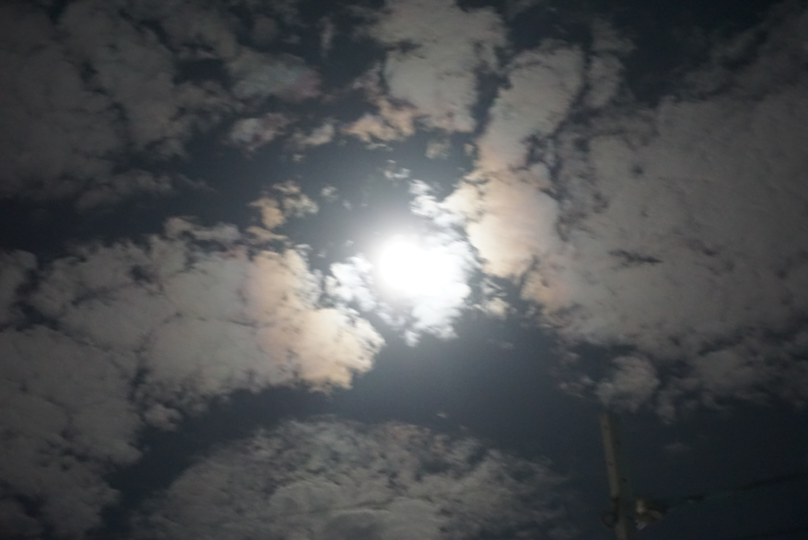 f0353904_2237479.jpg