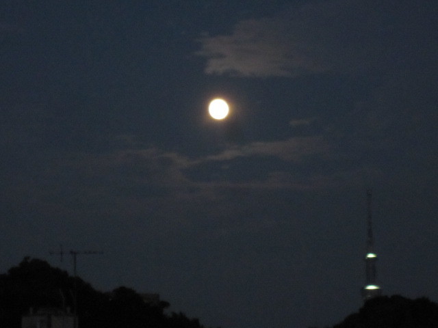 c0365706_22005637.jpg