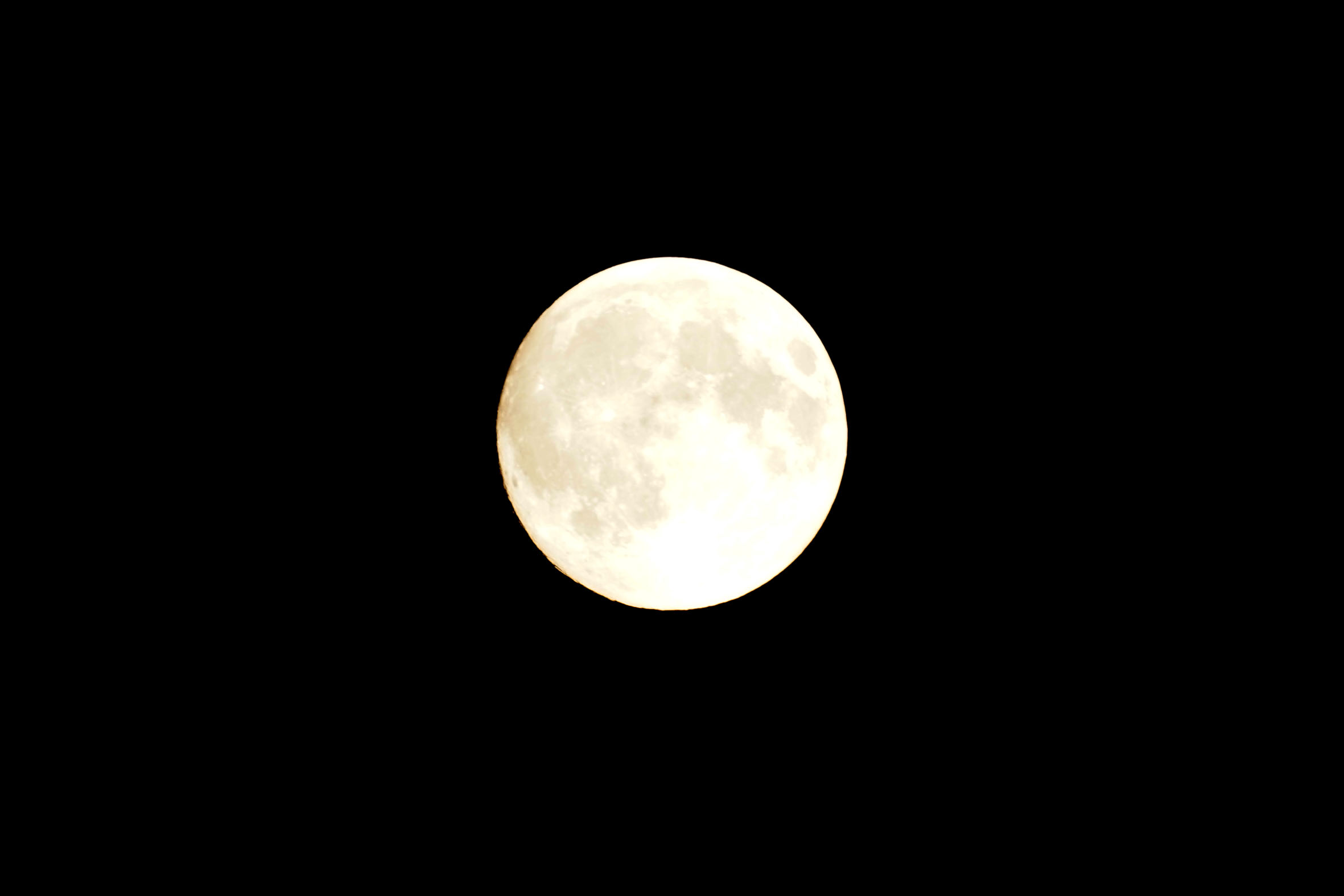 a0263109_20292546.jpg