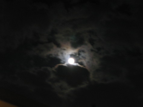 e0148909_21402718.jpg