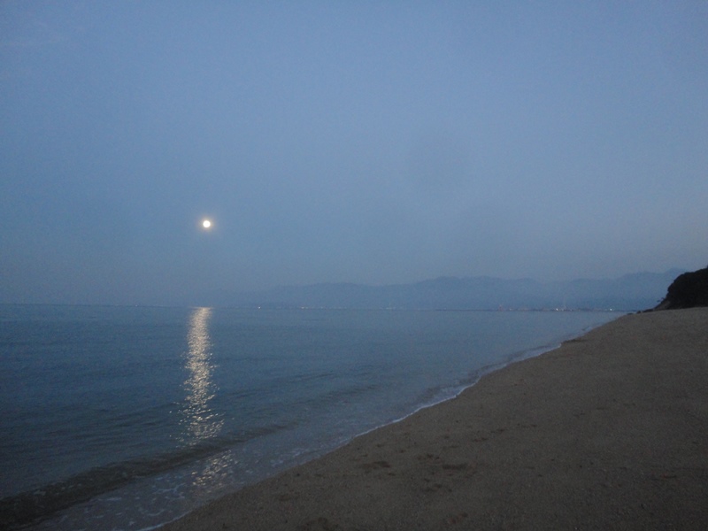 f0231709_21583799.jpg