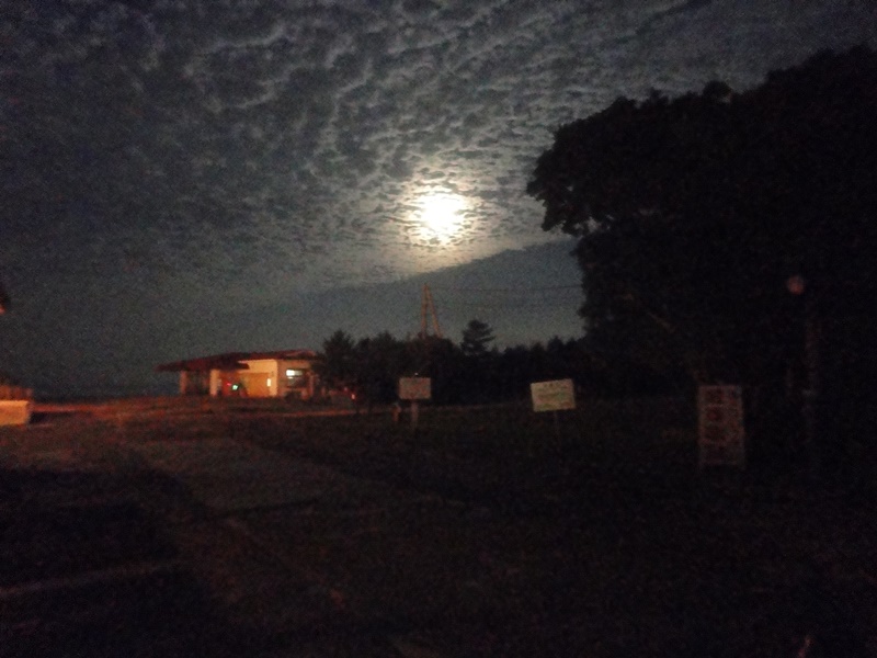 f0231709_2234957.jpg