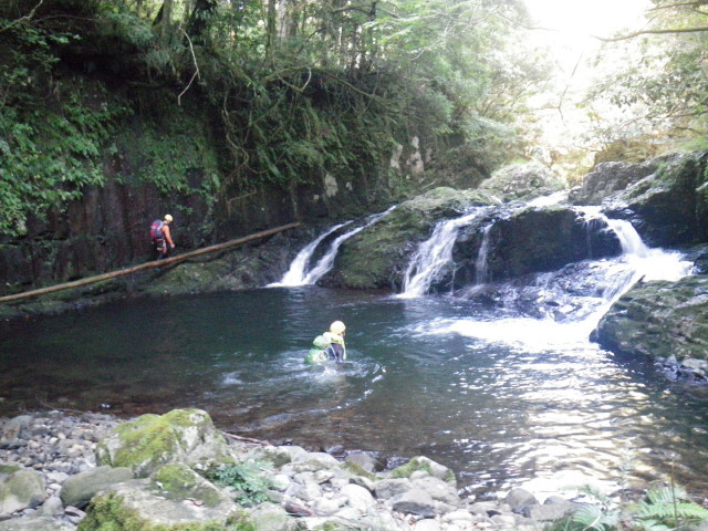 d0006512_00020069.jpg