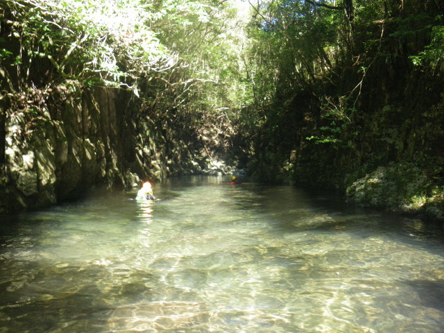 d0006512_00065266.jpg