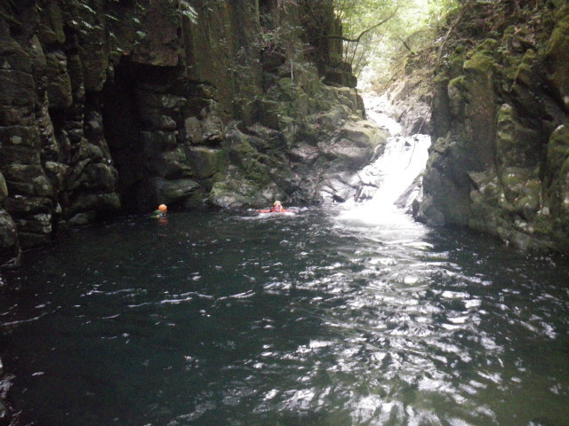 d0006512_00113720.jpg