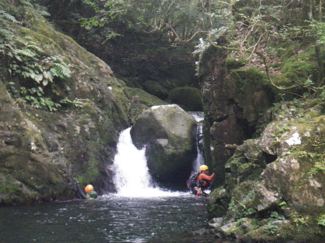 d0006512_00124867.jpg