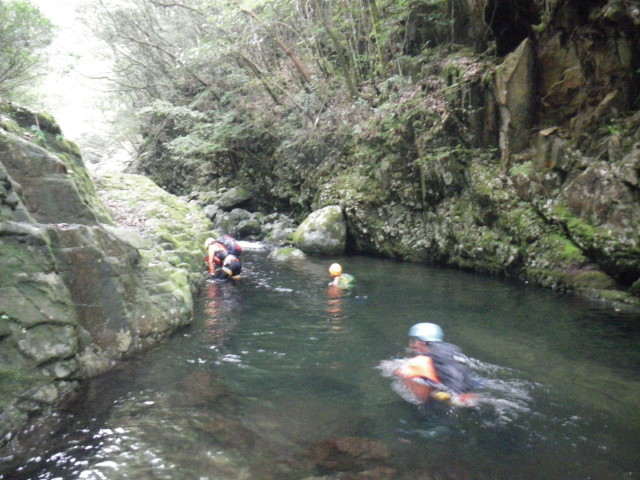 d0006512_00133581.jpg