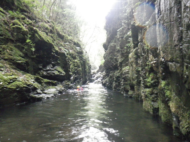 d0006512_00141055.jpg