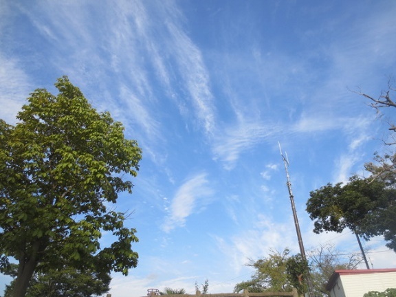 f0248616_14461235.jpg