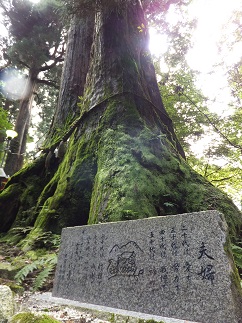 b0191418_1162970.jpg